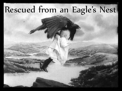 Rescued from an Eagle's Nest (1908)